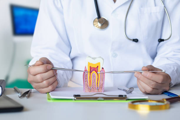 Best Emergency Dental Extractions in Southfield, MI